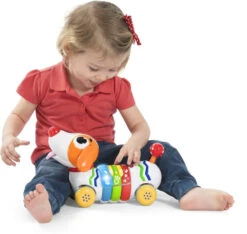 Chicco DogReMi Bestuurbare Hond C09336 -Kleintje Wereld 9200000091556804 4