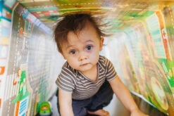 Prince Lionheart Playmat City/Zoo Opvouwbaar Speelkleed 7765 -Kleintje Wereld 999999 049345002119 6 4