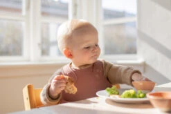 Bibs Overall Woodchuck Slab 4000247 -Kleintje Wereld Bibs Overall Woodchuck Slab 4000247 3