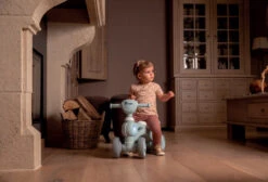 Bo Jungle B-Bike Jumpy Grijs Loopfiets B920030 -Kleintje Wereld Bo Jungle B Bike Jumpy Grijs Loopfiets B920030 2