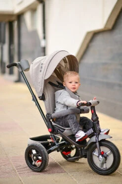 Lorelli Jaguar Deluxe Grey Driewieler 1005039-2102 -Kleintje Wereld Lorelli Jaguar Deluxe Grey Driewieler 1005039 2102 10