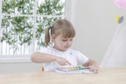 PolarB Houten Xylofoon 44026 12 PolarB Houten Xylofoon 44026 -Kleintje Wereld PolarB Houten Xylofoon 44026 5