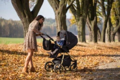 Baby Merc Mango Black/Gold LTD Kinderwagen Incl. Autostoel ML/204 -Kleintje Wereld baby merc mango limited edition black gold