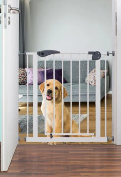 Babygo Safety Gate Black Traphek Klemhek 4052 -Kleintje Wereld babygo safety gate traphek klemhek 2 1