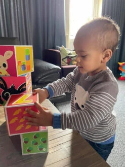 Bambolino Toys Bing Stapelkubussen 19073 -Kleintje Wereld bambolino toys bing stapelkubussen 19073 11