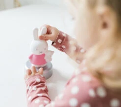 Bambolino Toys Nijntje 3D Lichtroze Nachtlampje 33233 -Kleintje Wereld bambolino toys nijntje 3d lichtroze nachtlampje 33233 1