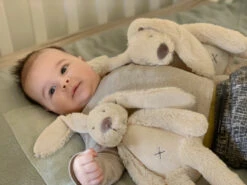 Happy Horse Rabbit Richie Beige 28 Cm No. 1 Knuffel 133264 -Kleintje Wereld beige rabbit richie sfeerfoto