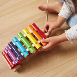 Bieco Pull Along Xylofoon 23022549 11 Bieco Pull Along Xylofoon 23022549 -Kleintje Wereld bieco pull along xylofoon 23022549 5