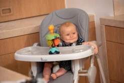 Bo Jungle B-Suction Toy Smart Owl Kinderstoel Speelgoed B910810 -Kleintje Wereld bo jungle b suction toy smart owl kinderstoel speelgoed b910810 8