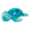 Cloud-B Tranquil Turtle Aqua Muzikale Babyprojector -Kleintje Wereld cloud b tranquil turtle aqua muzikale babyprojector