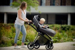 Ding Fenix Grey/Silver Kinderwagen DI-191703 -Kleintje Wereld ding fenix grey silver kinderwagen