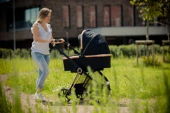 Ding Fenix Black/Rose Kinderwagen DI-191702 -Kleintje Wereld ding fenix rose kinderwagen