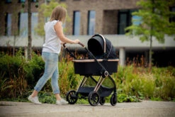 Ding Fenix Black/Rose Kinderwagen DI-191702 -Kleintje Wereld ding fenix rose kinderwagen 1