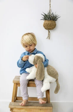 Happy Horse Dog David 28 Cm No. 2 Knuffel 132561 -Kleintje Wereld dog david lifestyle 1