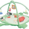 Eco Toys Kikker Activity Gym Speelkleed HC506649 -Kleintje Wereld eco toys kikker activity gym speelkleed hc506649 1 1
