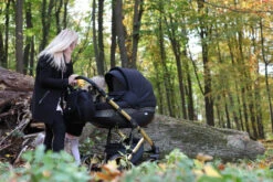 Baby Merc Faster 3 Black/Gold Limited Edition Kinderwagen Incl. Autostoel L143 -Kleintje Wereld faster gold 1
