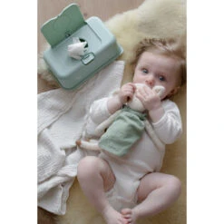 FunkyBox Mint Leave FB60 -Kleintje Wereld funkybox mint leave fb60 .sfeer3