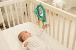 Infantino Elephant Autospiegel BK-316313 -Kleintje Wereld infantino elephant autospiegel bk 316313 2