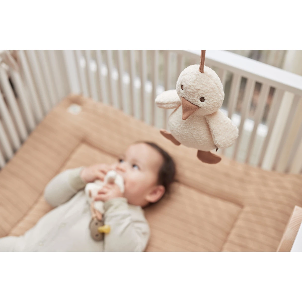 Jollein Spring Garden Duck Muziekdoosje 043-001-67003 6 Jollein Spring Garden Duck Muziekdoosje 043-001-67003 - Afbeelding 4