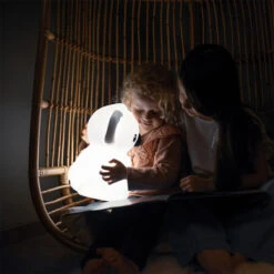 Kidywolf Kidylight Koala XL Nachtlampje -Kleintje Wereld kidywolf kidylight koala xl nachtlampje 4