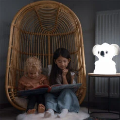 Kidywolf Kidylight Koala XL Nachtlampje -Kleintje Wereld kidywolf kidylight koala xl nachtlampje 6