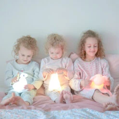 Kidywolf Kidynight Koala Nachtlampje -Kleintje Wereld kidywolf kidynight wolf nachtlampje 4 1