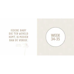 Lantaarn Mijn Negen Maanden Babyboek -Kleintje Wereld lantaarn mijn negen maanden babyboek .6