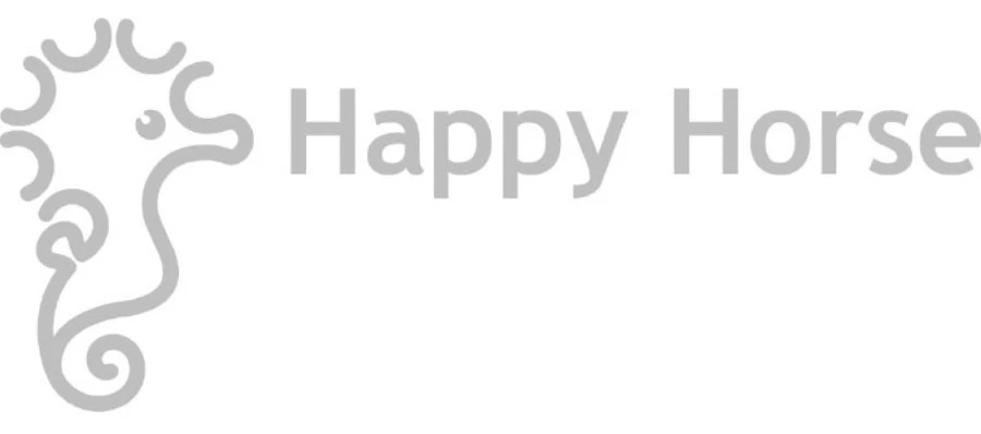 Happy Horse Big Dino Don 65 Cm Knuffel 132862 5 Happy Horse Big Dino Don 65 Cm Knuffel 132862 - Afbeelding 3