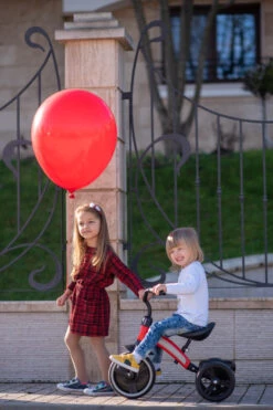 Lorelli Dallas Grey Driewieler 1005050-005 24 Lorelli Dallas Grey Driewieler 1005050-005 -Kleintje Wereld lorelli dallas driewieler 11 1