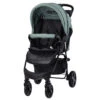 Lorelli Olivia Green Bay Wandelwagen 1002187-2390 -Kleintje Wereld lorelli olivia green bay wandelwagen 1002187 2390