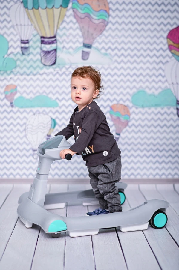 Lorelli Rider Pink & Grey 2-in-1 Loopstoeltje 1012039-0002 - Afbeelding 5