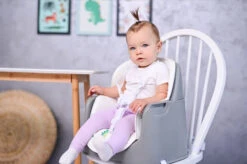 Lorelli Trick Pink Bears 3-in-1 Kinderstoel 1010049-2133 -Kleintje Wereld lorelli trick grey candy 3 in 1 kinderstoel 1010049 2137.6 1920x1920 2