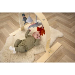Tryco Houten Babygym TR-303011 -Kleintje Wereld mamaloes tryco babygym 01 1