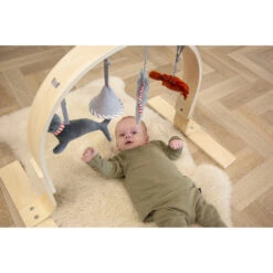 Tryco Houten Babygym TR-303011 -Kleintje Wereld mamaloes tryco babygym 02 1