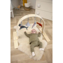 Tryco Houten Babygym TR-303011 -Kleintje Wereld mamaloes tryco babygym 03 1