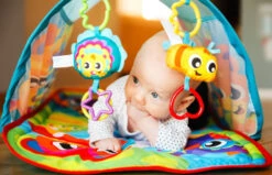 Playgro Honey Bee Bear Activity Tunnel Speelkleed P0186992 -Kleintje Wereld playgro honey bee bear activity tunnel speelkleed p0186992 8