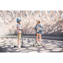 Scoot And Ride Ash Highwaykick 5 Step SR-96440 -Kleintje Wereld scoot and ride ash highwaykick 5 step sr 96440 sfeer