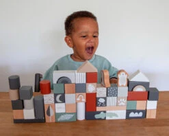 Tryco 50 Stuks Houten Blokken TR-353001 22 Tryco 50 Stuks Houten Blokken TR-353001 -Kleintje Wereld tr 353001 tryco wooden 50pcs blocks 06