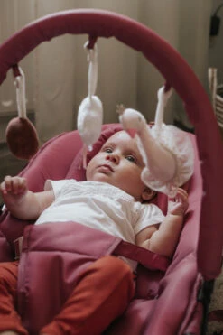 Tryco Swan Ivy Roze Wipstoel TR-272704 -Kleintje Wereld tryco swan ivy roze wipstoel tr 272704 12 3