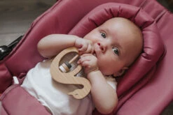 Tryco Swan Ivy Roze Wipstoel TR-272704 -Kleintje Wereld tryco swan ivy roze wipstoel tr 272704 14 3