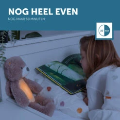 Zazu Brody De Beer Roze Slaaptrainer ZA-BRODY-03 -Kleintje Wereld zazu brody de beer roze slaaptrainer sfeer 7