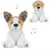 Zazu Danny The Dog Kiekeboe Knuffel Met Muziek EN ZA-DANNY-01 -Kleintje Wereld zazu danny the dog kiekeboe knuffel met muziek za danny 01 0