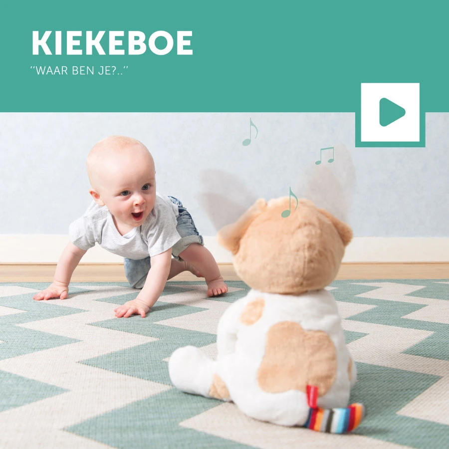 Zazu Danny The Dog Kiekeboe Knuffel Met Muziek EN ZA-DANNY-01 8 Zazu Danny The Dog Kiekeboe Knuffel Met Muziek EN ZA-DANNY-01 - Afbeelding 6